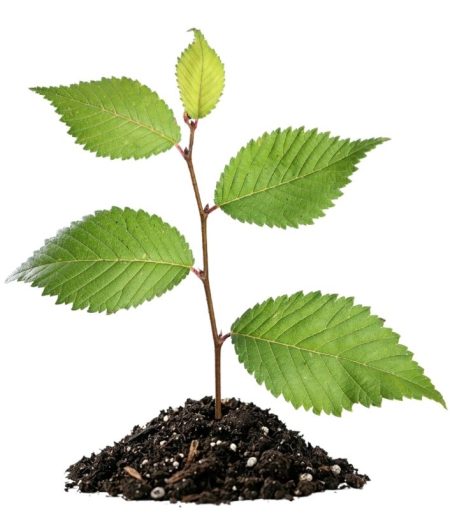 LMJ_Images_Site_Web (5)